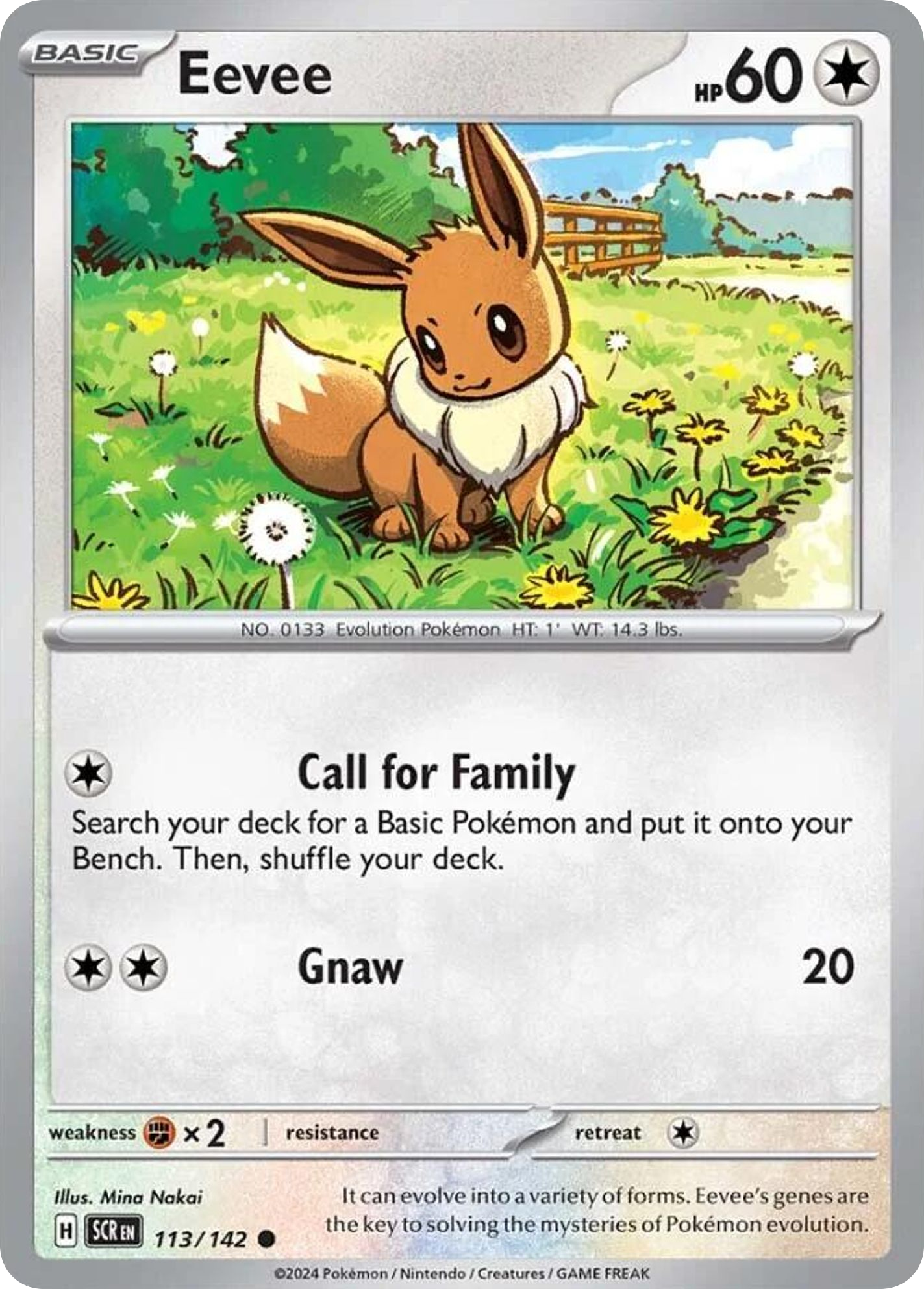 113/142 Eevee Pokemon Card Stellar Crown Common *MINT*