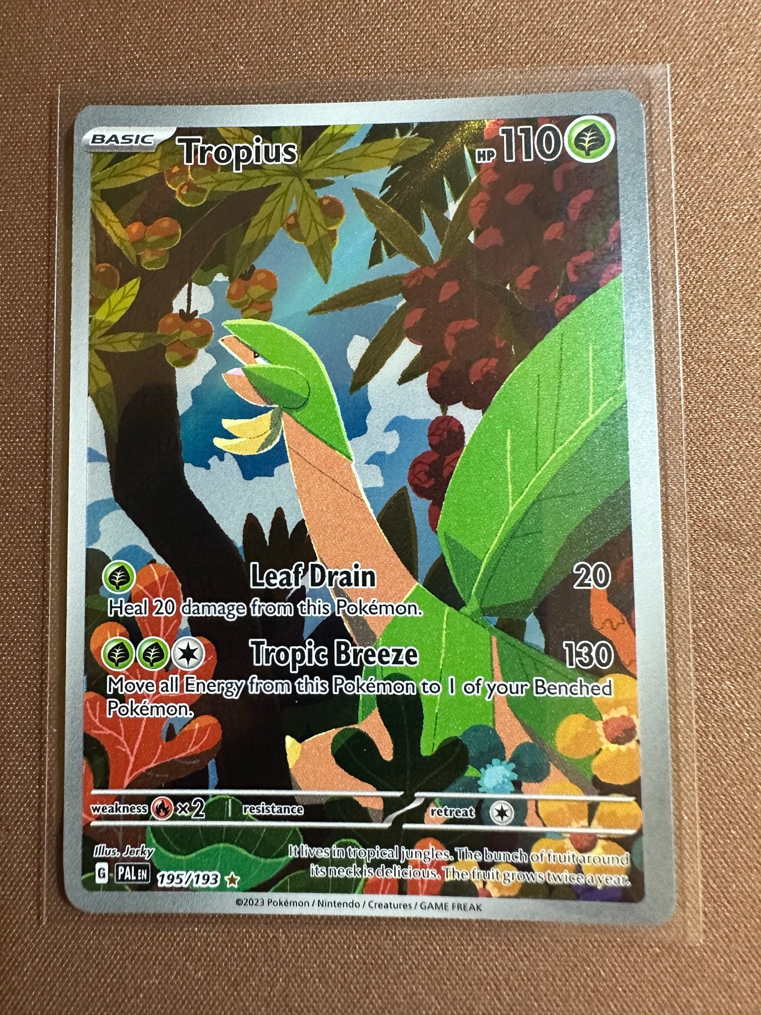 Pokemon Card Paldea Evolved 195/193 Tropius Illustration Rare *MINT* Brokenvase Games Pokemon Card Paldea Evolved 195/193 Tropius Illustration Rare *MINT* Brokenvase Games