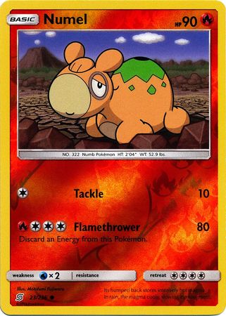 Pokemon Card Unified Minds 023/236 23/236 Numel Reverse Holo Common