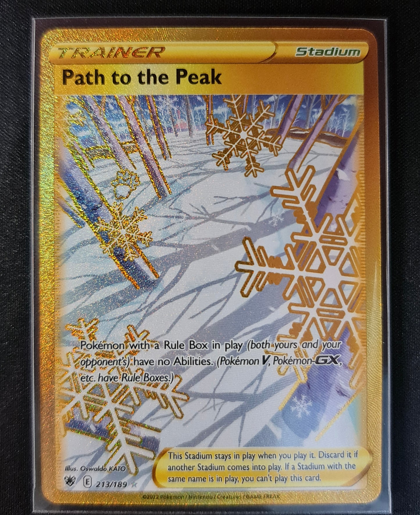 Pokemon Card Astral Radiance 213/189 Path to the Peak Stadium Secret Rare