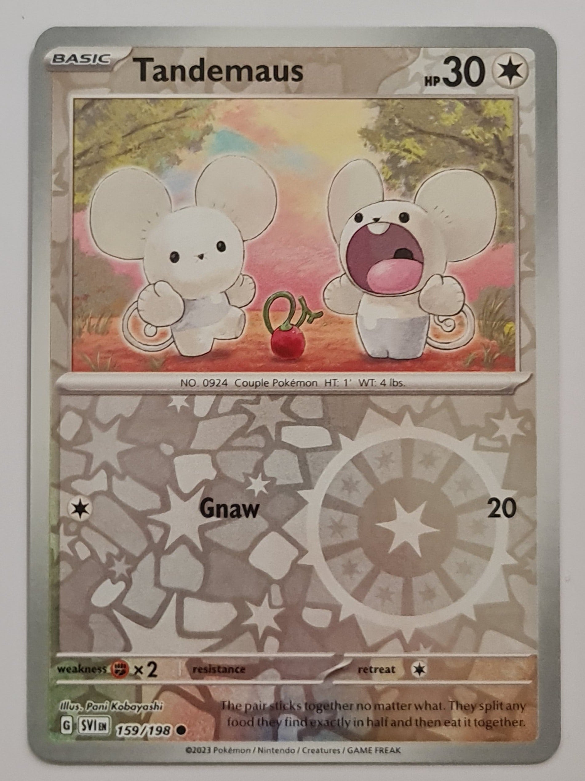 Pokemon Card Scarlet & Violet 159/198 Tandemaus Reverse Holo Common *M –  Brokenvase Games