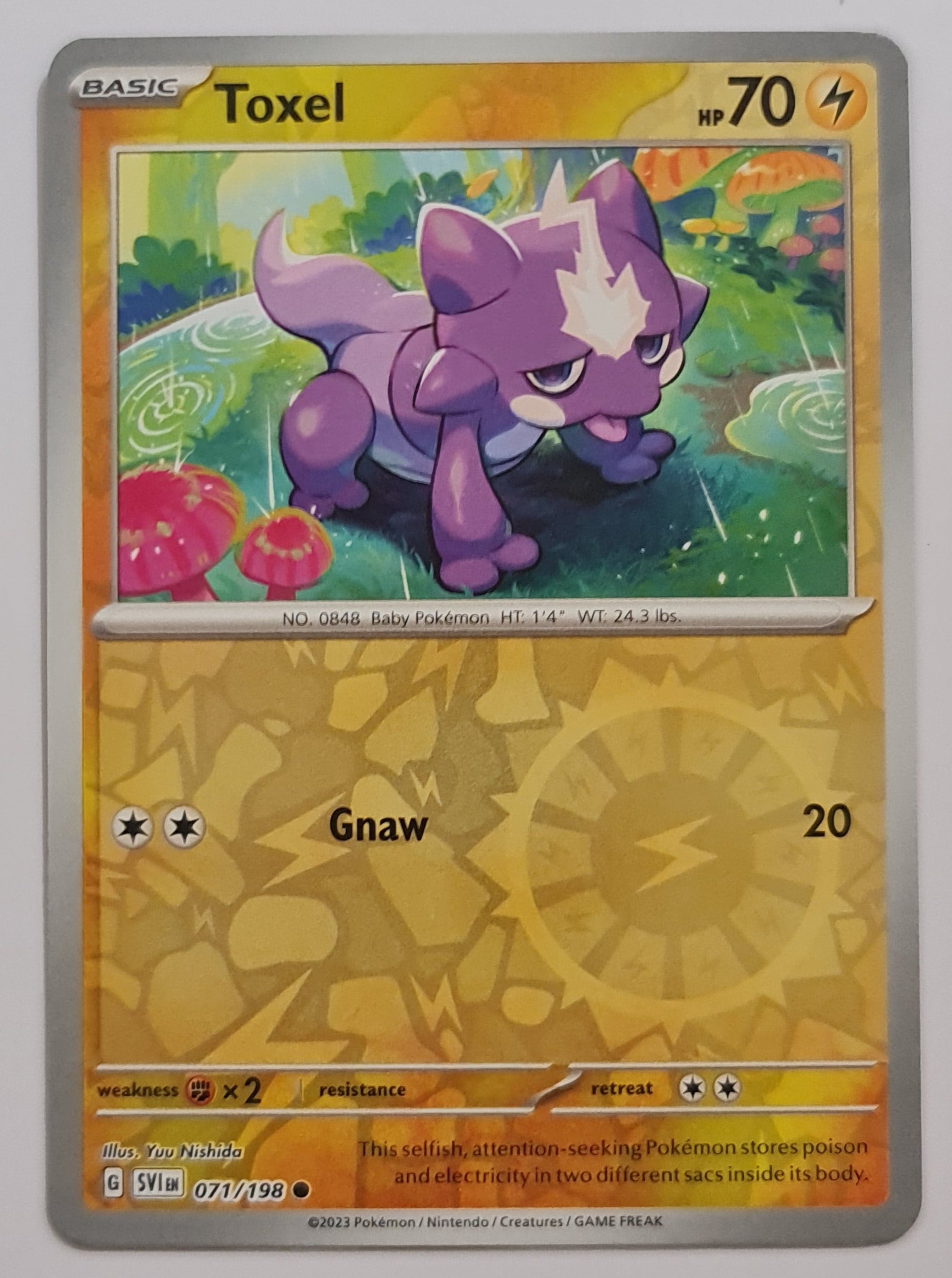 Toxel - 071/198 Scarlet & Violet Reverse Holo Common Pokemon - NM/MINT –  The PokéTrade Emporium