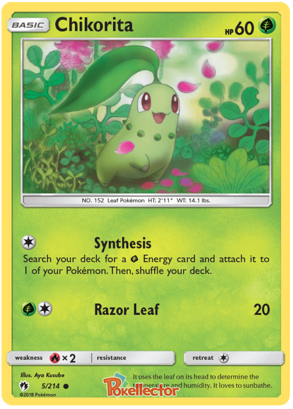 Pokemon Card Lost Thunder 5/214 005/214 Chikorita Common *MINT*