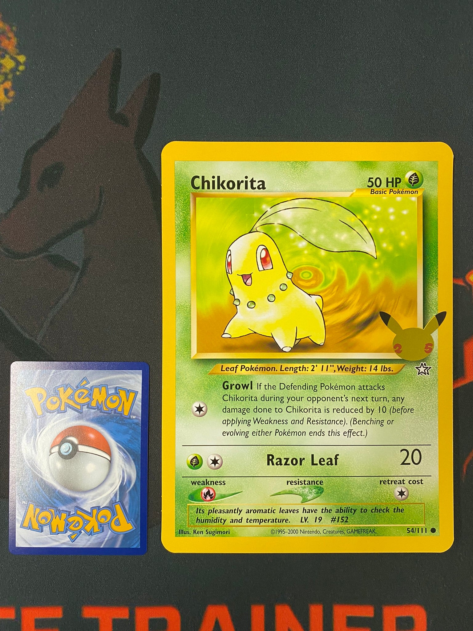 Pokemon Card 25TH ANNIVERSARY 54/111 Chikorita JUMBO OVERSIZED PROMO Brokenvase Games Pokemon Card 25TH ANNIVERSARY 54/111 Chikorita JUMBO OVERSIZED PROMO Brokenvase Games
