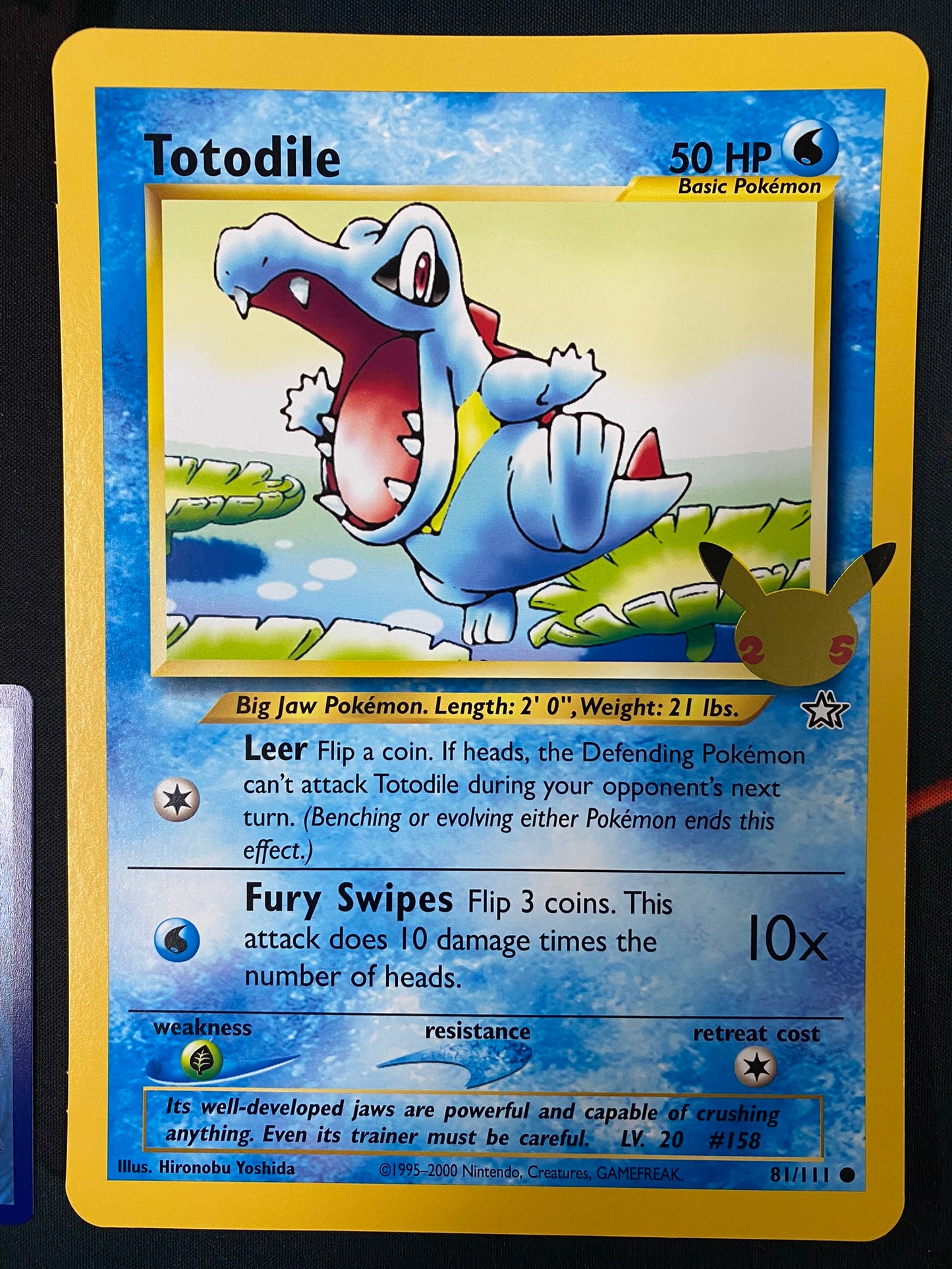 Pokemon Card 25TH ANNIVERSARY 81/111 Totodile JUMBO OVERSIZED PROMO