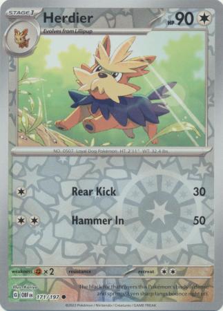 Pokemon Card Obsidian Flames 171/197 Herdier Reverse Holo Common *MINT*