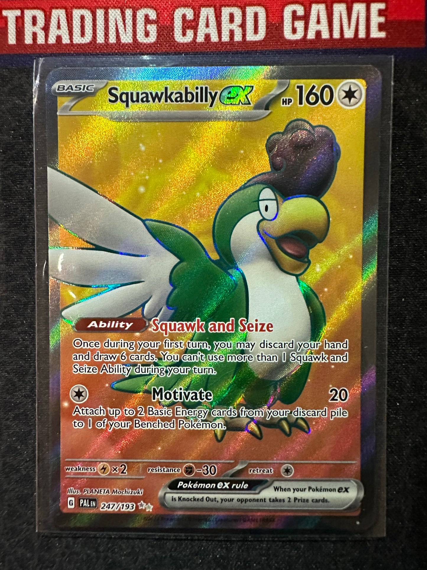 (S) Pokemon Card Paldea Evolved 247/193 Squawkabilly ex Ultra Rare *MINT*