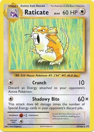 <transcy>Pokemon Card XY Evolutions 67/108 Raticate Rare</transcy>