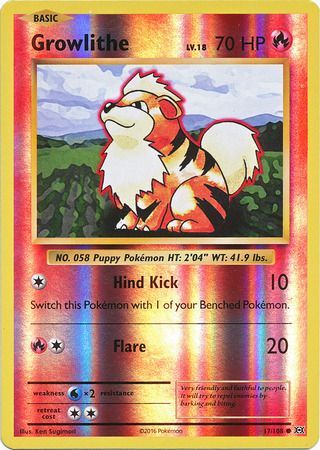 <transcy>بطاقة بوكيمون XY Evolutions 17/108 Growlithe Reverse Holo Common</transcy>