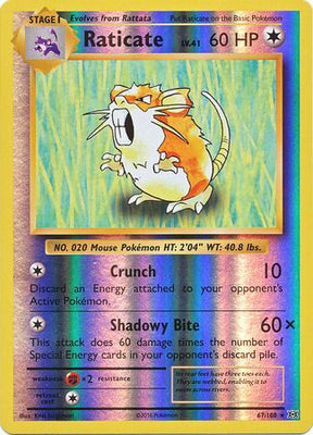 Pokemon Card XY Evolutions 67/108 Raticate Reverse Holo Rare