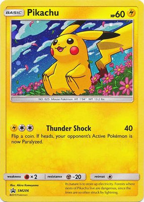 Pokemon Card SM Black Star Promos SM206 Pikachu