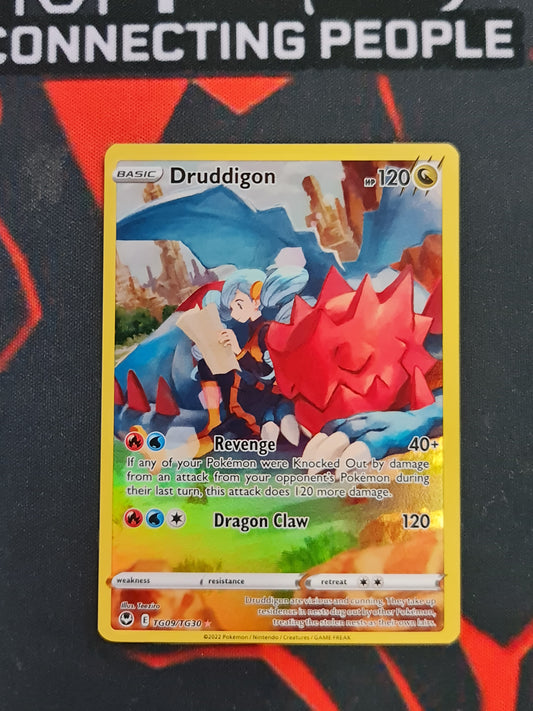 Pokemon Card Silver Tempest Trainer Gallery TG09/TG30 TG9/TG30 Druddigon Holo Rare *MINT*