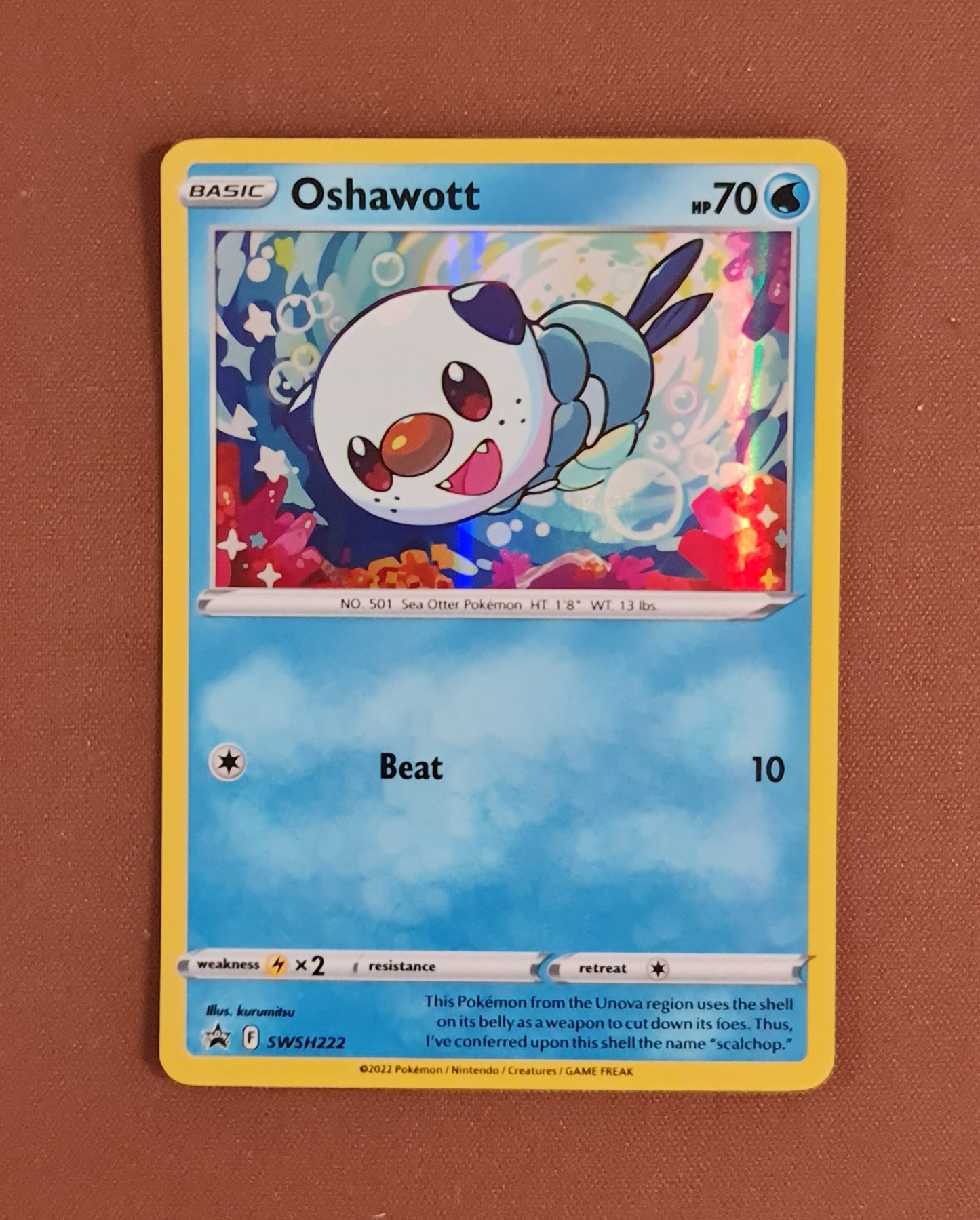 Pokemon Card SWSH Black Star Promos SWSH222 Oshawott