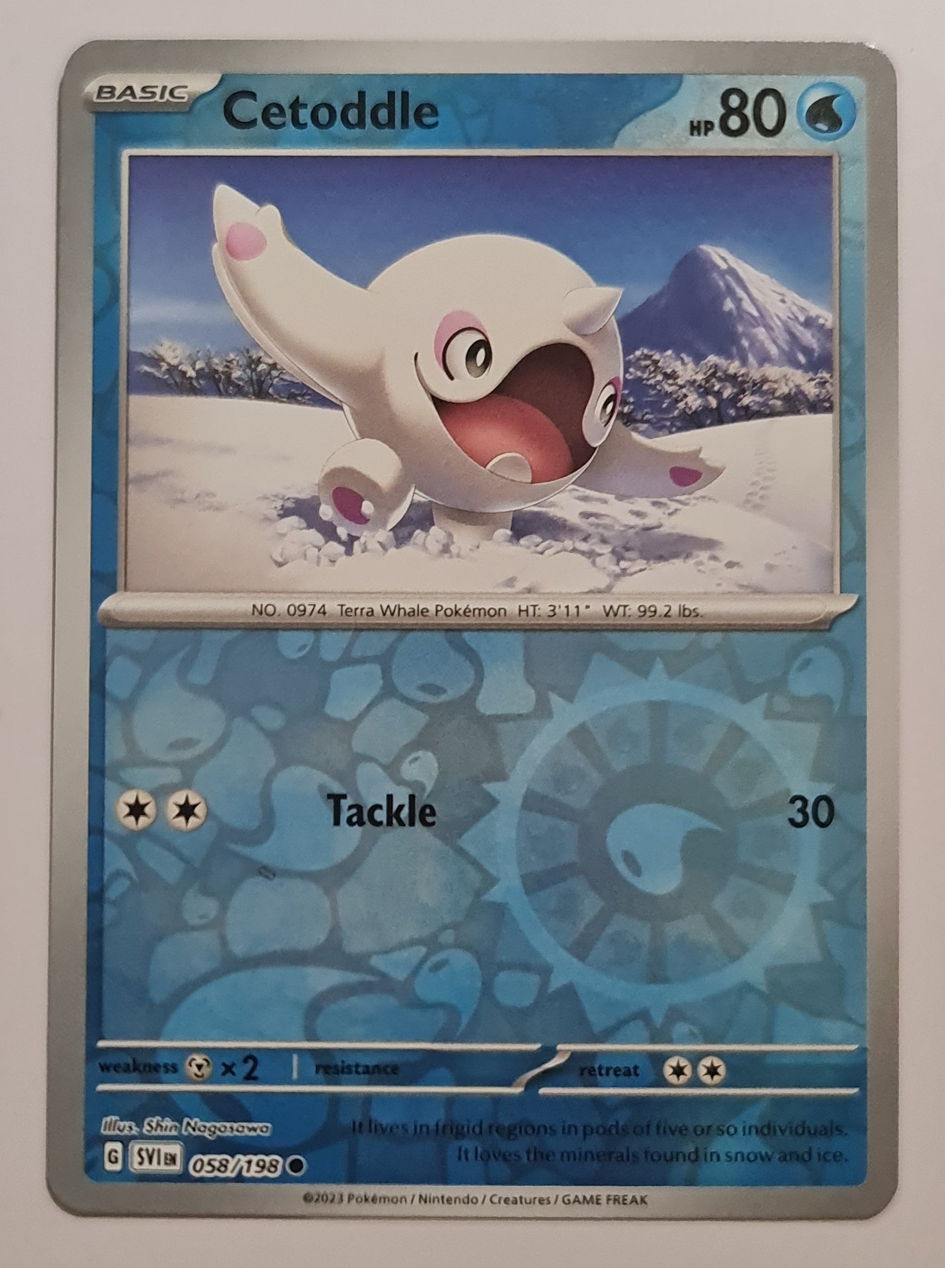 Pokemon Card Scarlet & Violet 058/198 58/198 Cetoddle Reverse Holo Com Brokenvase Games Pokemon Card Scarlet & Violet 058/198 58/198 Cetoddle Reverse Holo Com Brokenvase Games