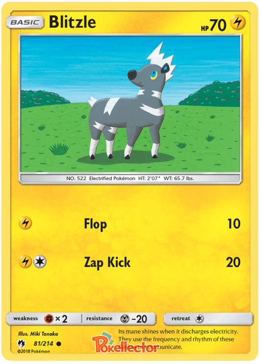 Pokemon Card Lost Thunder 81/214 081/214 Blitzle Common *MINT*