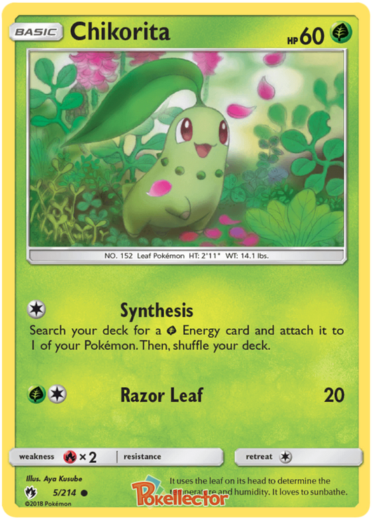Pokemon Card Lost Thunder 5/214 005/214 Chikorita Common *MINT*