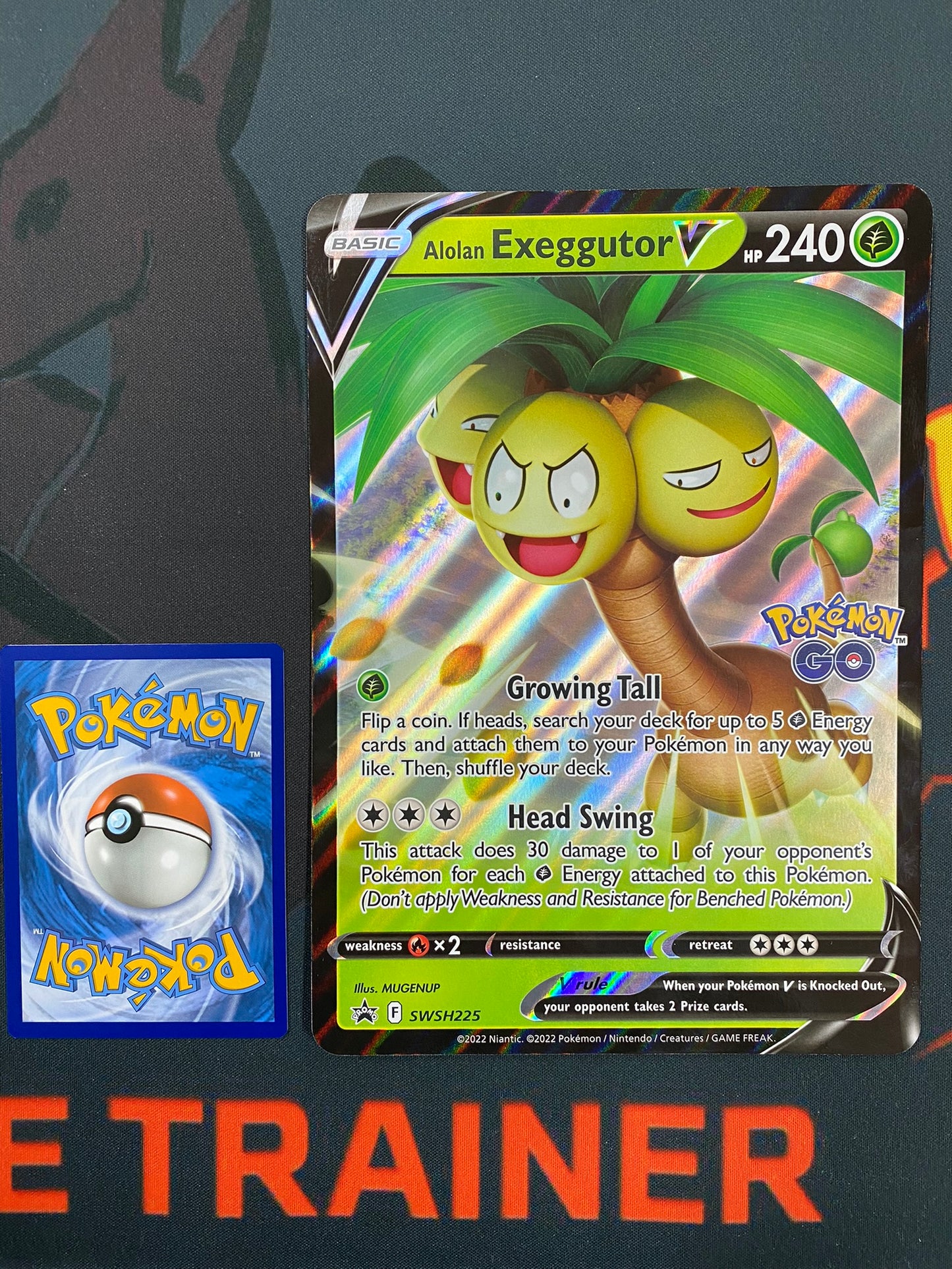 Pokemon Card SWSH225 Alolan Exeggutor V JUMBO OVERSIZED BLACK STAR PROMO *MINT*