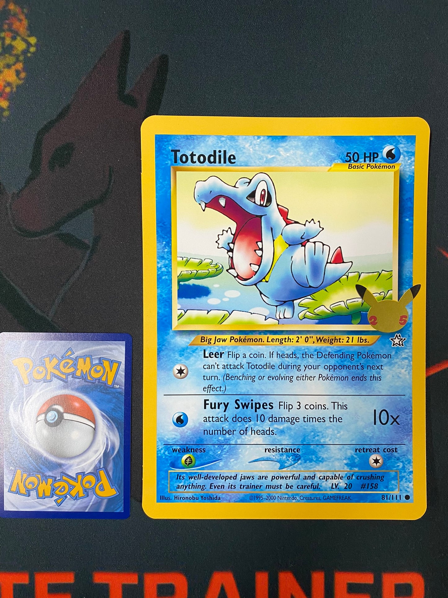 Pokemon Card 25TH ANNIVERSARY 81/111 Totodile JUMBO OVERSIZED PROMO