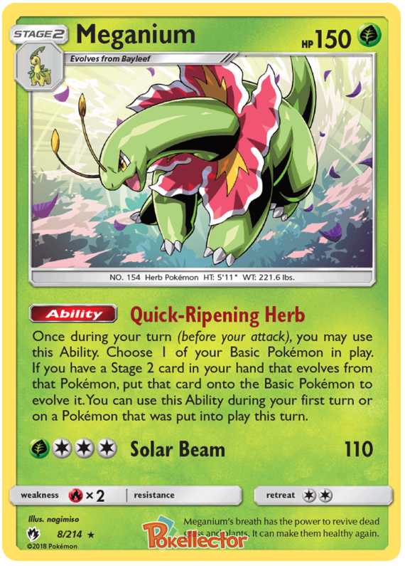 Pokemon Card Lost Thunder 8/214 008/214 Meganium Holo Rare *MINT*
